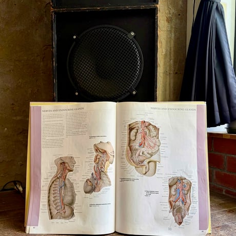 USED “T&J / HUMAN ANATOMY” BIG BOOK