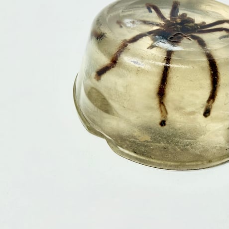 VINTAGE RESIN  TARANTULA ORNAMENT