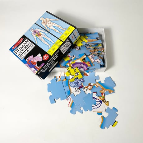 USED "HUMAN ANATOMY" PUZZLE