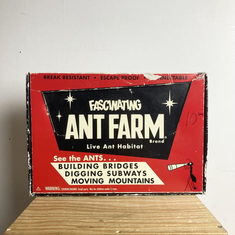 FASCINATING ANT FARM
