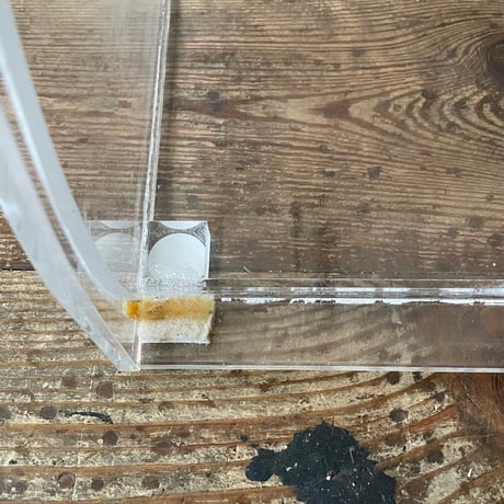 USED TRANSPARENT ACRYLIC CASE