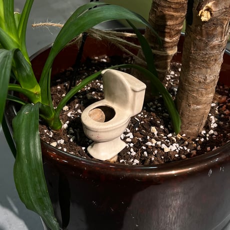 USED CERAMIC TOILET WATERING SPIKE