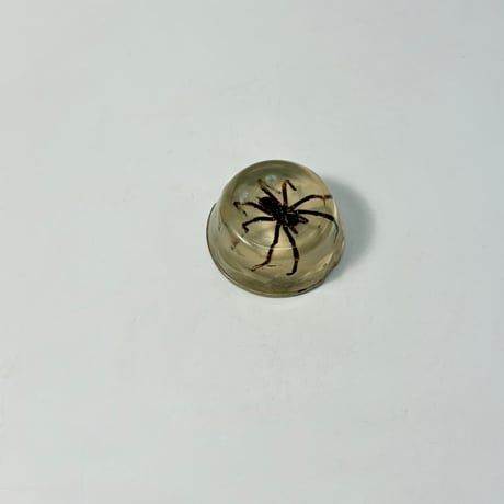 VINTAGE RESIN  TARANTULA ORNAMENT