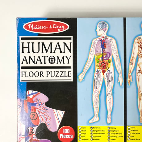 USED "HUMAN ANATOMY" PUZZLE