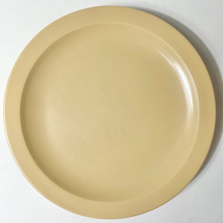 USED “DALLAS WARE” MELAMINE DINNER PLATE 10.25"