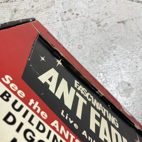 FASCINATING ANT FARM
