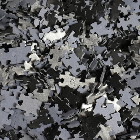 "EUROGRAPHICS" EINSTEIN 1000 PIECE PUZZLE