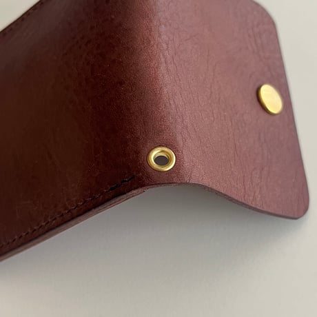 APOLLON LEATHER "ASH CASE"