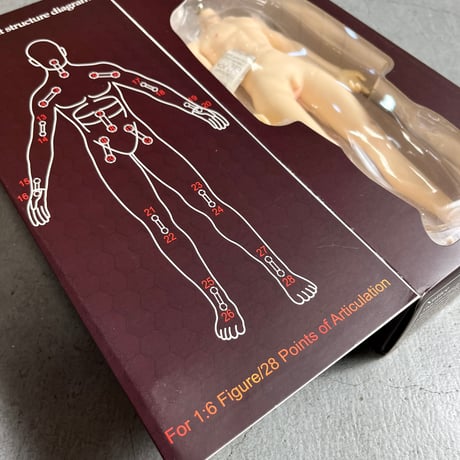 NEW “JIAOU DOLL” 1/6 SEAMLESS MALE BODY