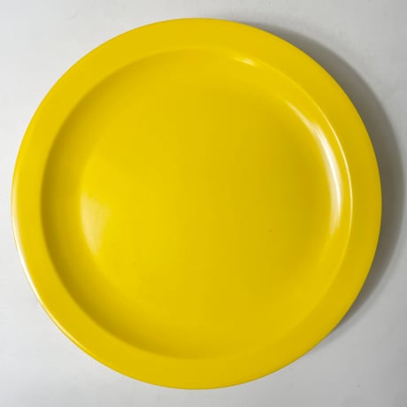 USED “DALLAS WARE” MELAMINE DINNER PLATE 10.25"