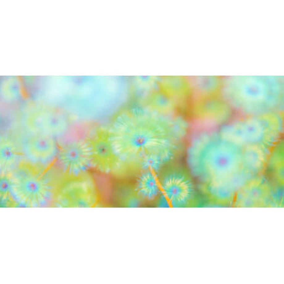 610806b0a92a7831c2b59552