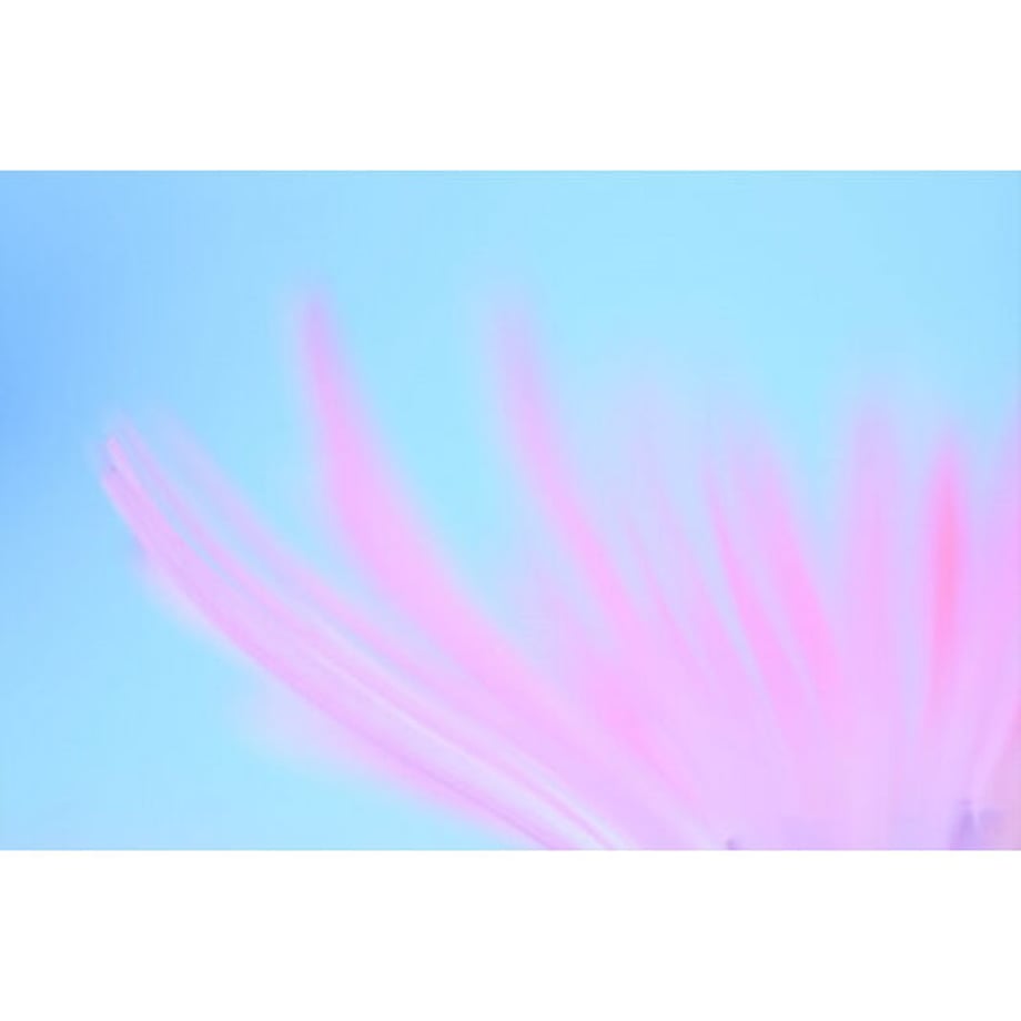 61080043e494336eba78c392