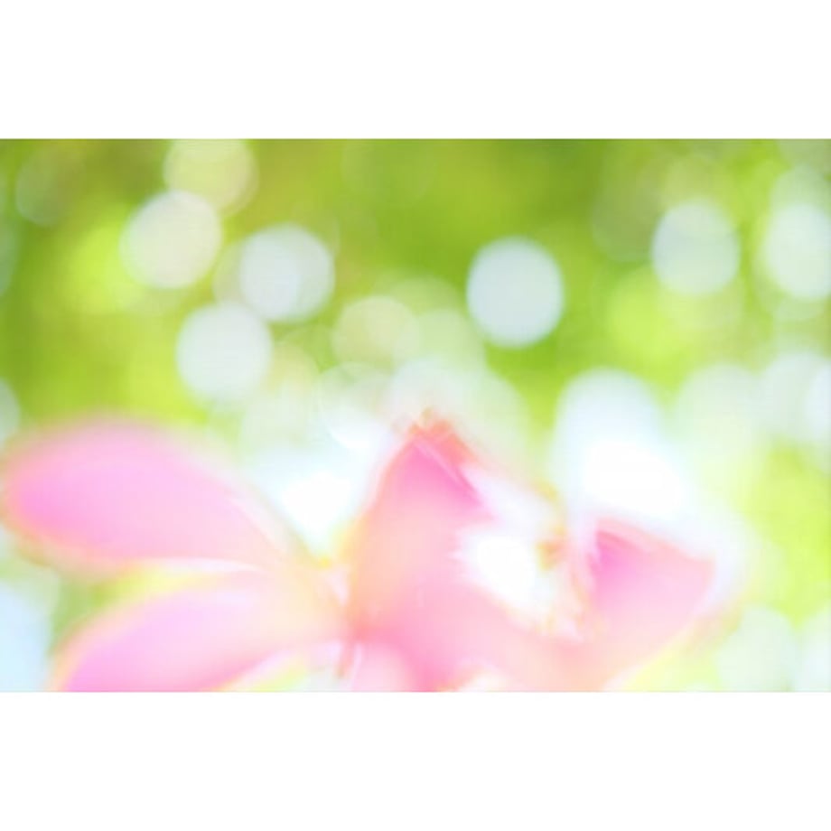 6102190fbc1e64108214d3be