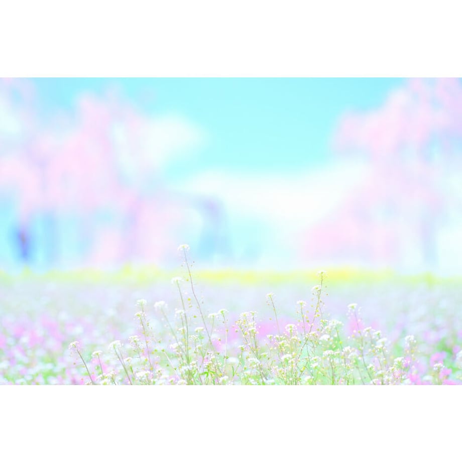 60a206847c42ee1b5aac065a
