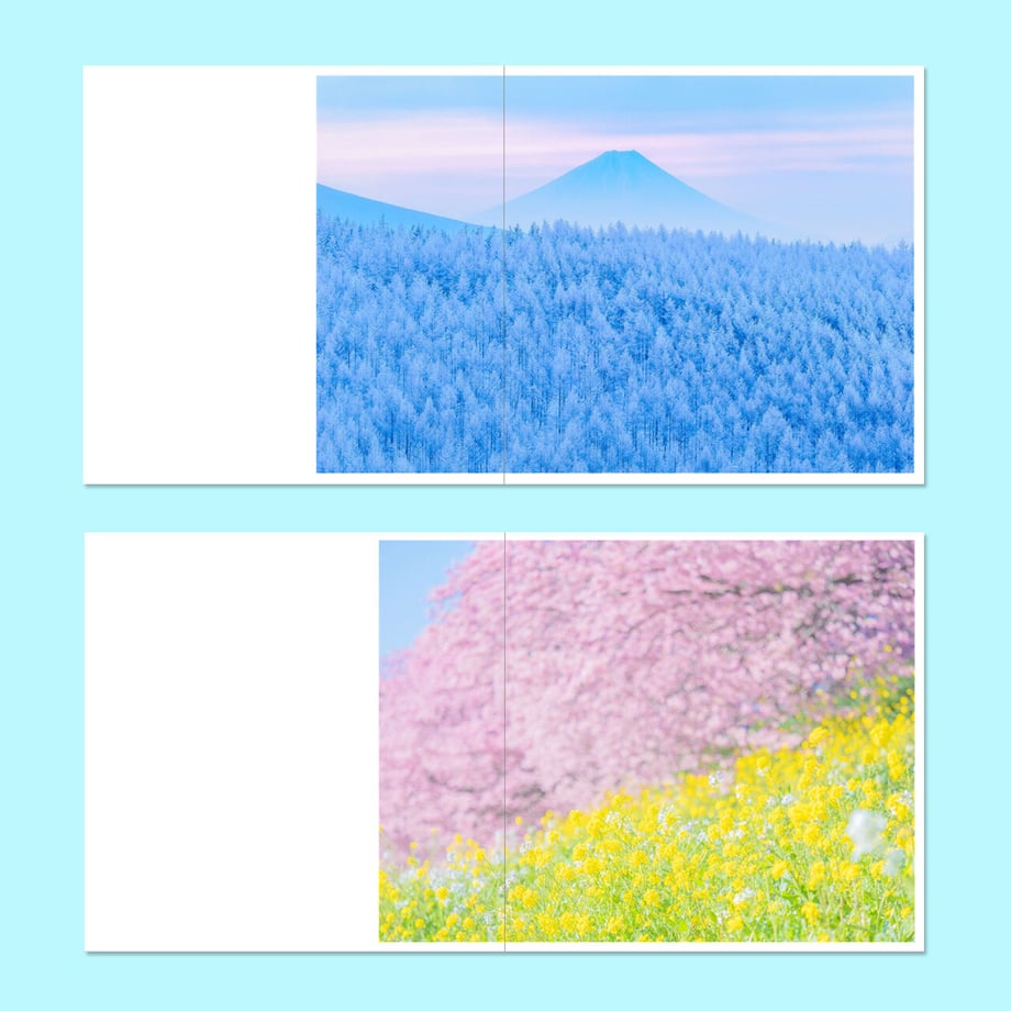 6489015a6aabc3002e252940