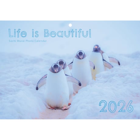 Sachi Murai Online Store