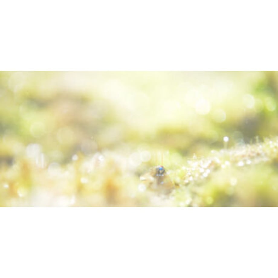 60f3cc96bc1e646d14321a3b
