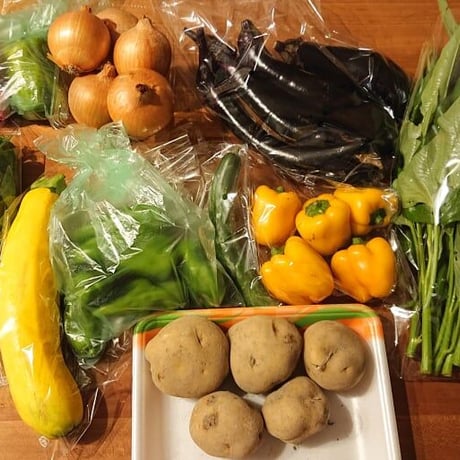【農薬化学肥料不使用】季節のお野菜セット　M