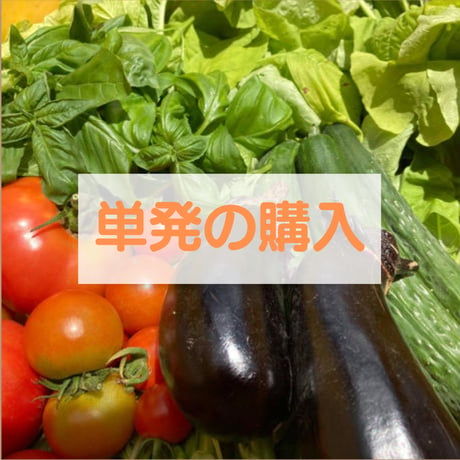 【農薬化学肥料不使用】季節のお野菜セット　M