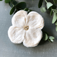 Hortensia petit（オルタンシア　プチ）