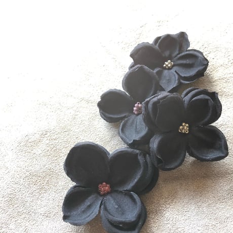 Hortensia petit noir（オルタンシア　プチ　ノワール）