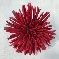 HANABI（花火）