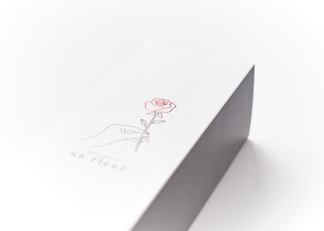 ティグレセット