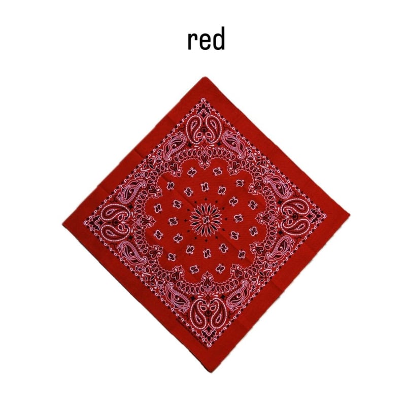 HAV-A-HANK MADE IN U.S.A. ペイズリーバンダナ | ThrottleW