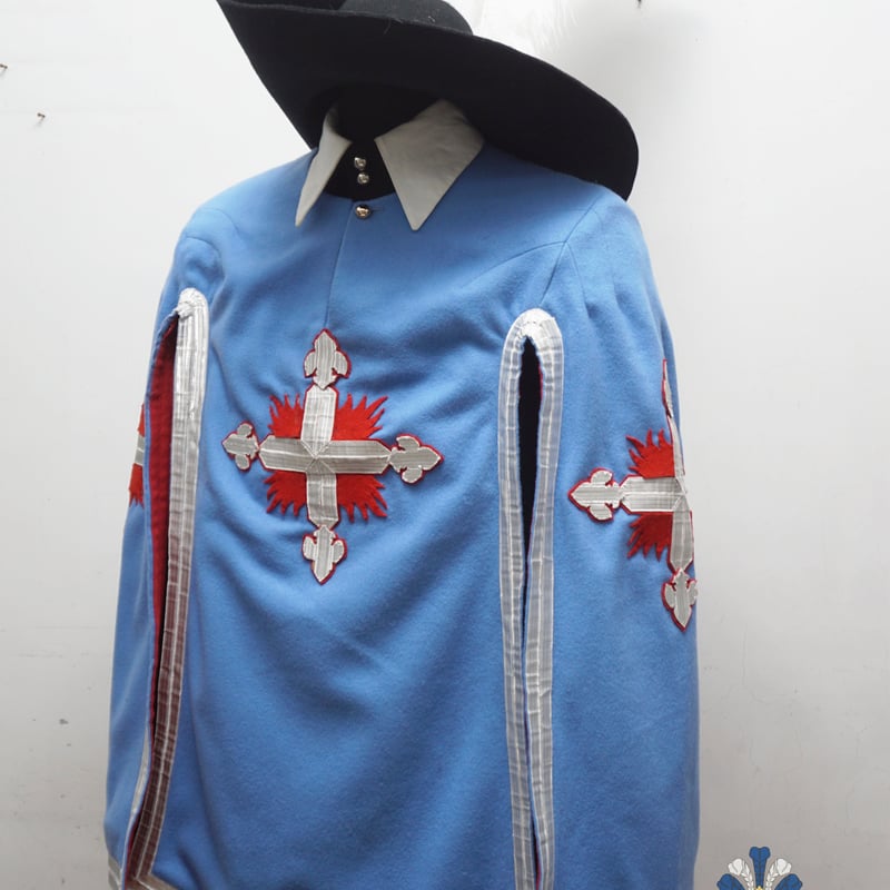 Ｆフランス＊学芸・芸術勲章＊騎士級＊オーダーメイド品（実物） 勲章型メダル 金属製 OM-1