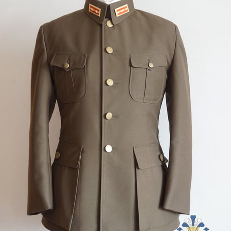 不明 満洲国軍 汪兆銘政権軍 将校用制帽】 日本軍 太平洋戦争 大東亜