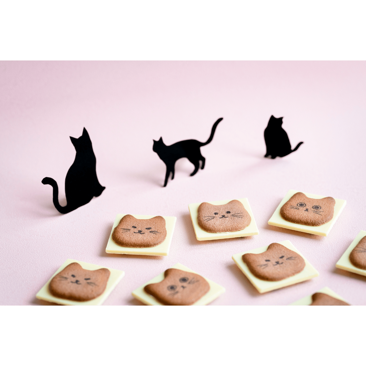 黒ネコまみれ スイート味 8個入り 猫 クッキー ラングドシャ