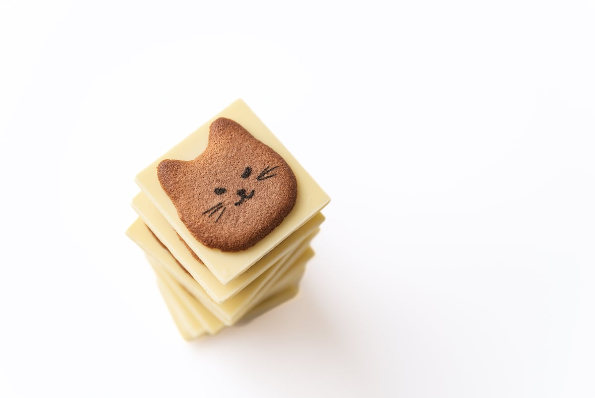 じゃれねこ『7月☆ラッキーセット⑧』 ネコまみれ 8個入り 猫 クッキー ラングドシャ | シアワセは