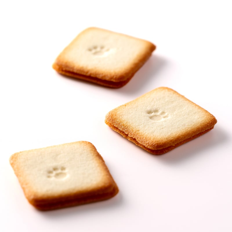 らんぎゅっ！ドシャ 8個入り×5箱セット クッキー ラングドシャ