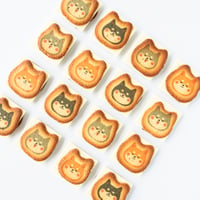 まめしばまみれ　キャラメル味　8個入り　犬　クッキー　ラングドシャ