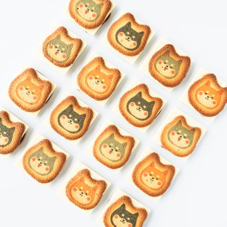 まめしばまみれ　キャラメル味　8個入り　犬　クッキー　ラングドシャ