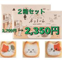 ネコまみれ　12個入り×2箱セット　猫　クッキー　ラングドシャ