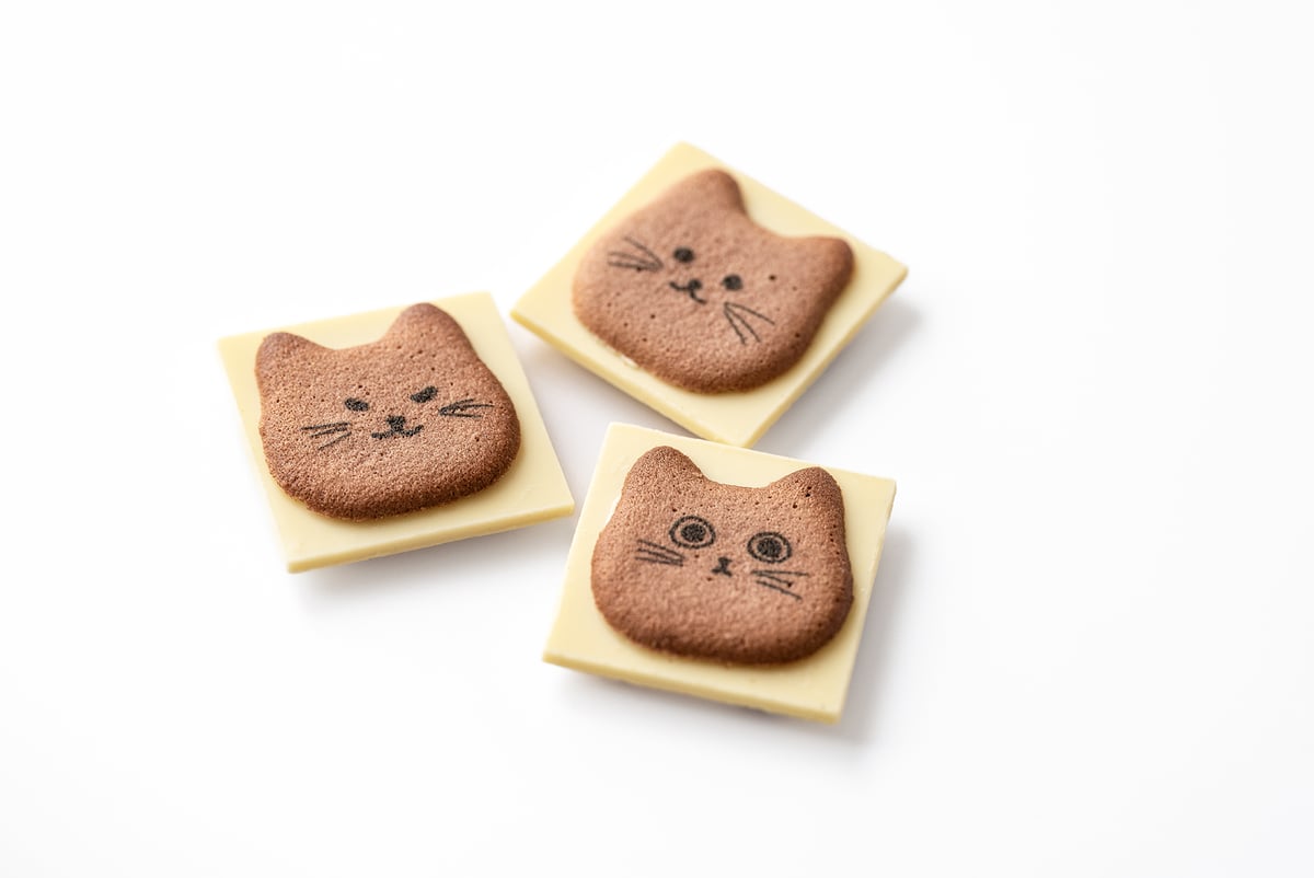 じゃれねこ『7月☆ラッキーセット⑩』 zzy0013-01.jpg