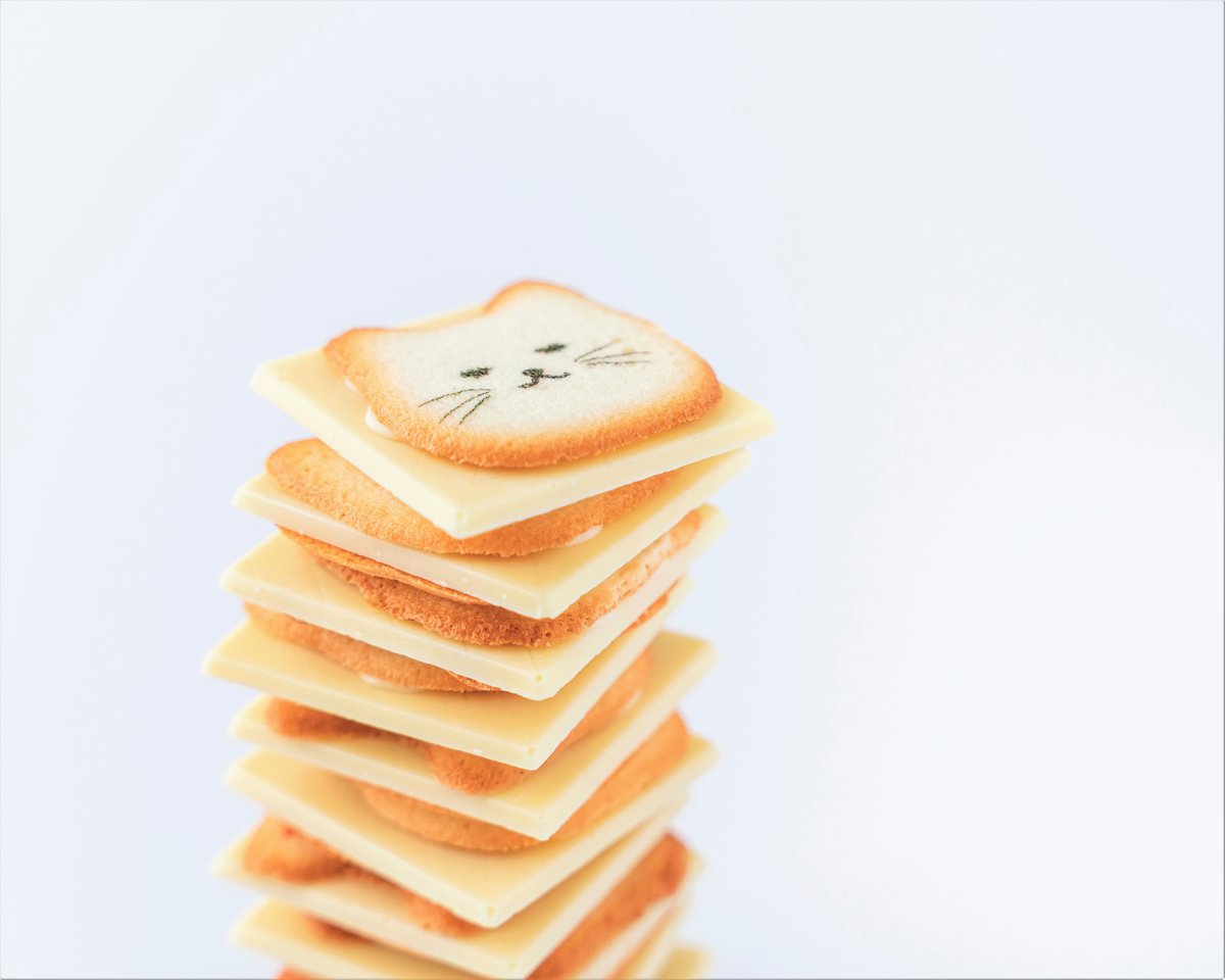 じゃれねこ『7月☆ラッキーセット⑧』 黒ネコまみれ 8個入り×2箱セット 送料無料 クッキー