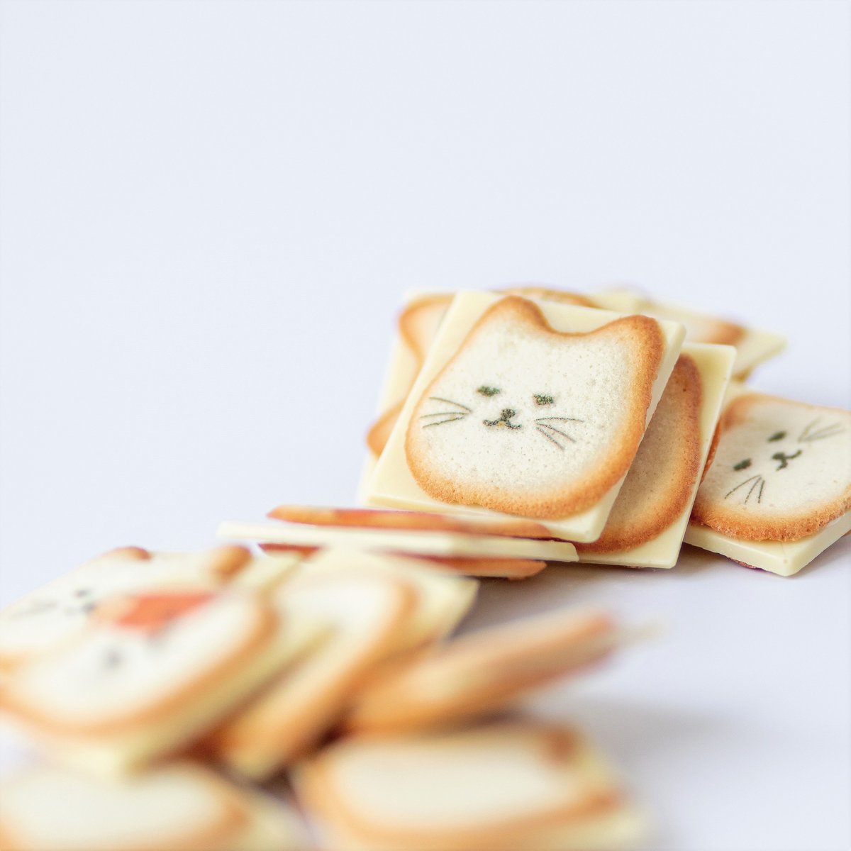 ネコまみれ 8個入り×4箱セット 送料無料 猫 クッキー ラングドシャ