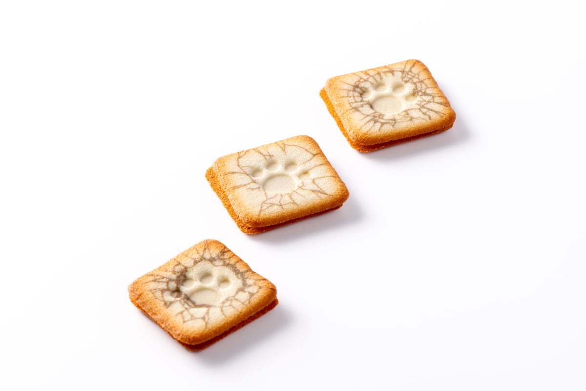 クッキー詰め合わせ　リス　ラングドシャ らんぎゅっ！ドシャ 8個入り クッキー ラングドシャ | シアワセは