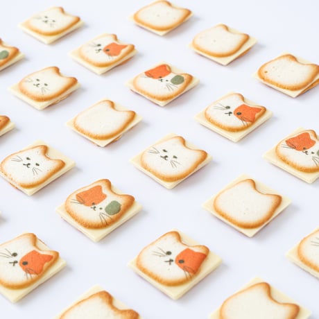 ネコまみれ　12個入り　猫　クッキー　ラングドシャ