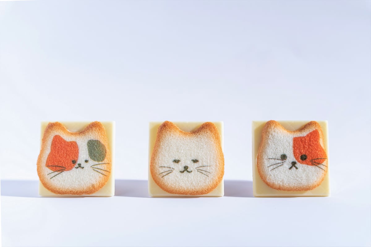 ネコまみれ 8個入り×2箱セット 猫 クッキー ラングドシャ