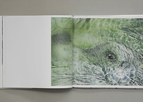 『terra』GOTO AKI ---terra by GOTO AKI