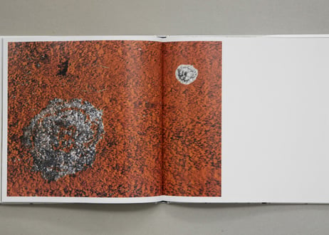 『terra』GOTO AKI ---terra by GOTO AKI