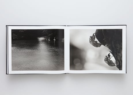 『Emperor of Japan』伊奈 英次【サイン入り】 ---EMPEROR OF JAPAN by Eiji Ina [SIGNED]