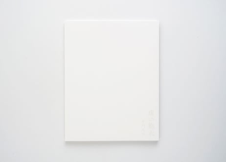 『虚の胞衣』中川 馬骨 ---AFTERBIRTH OF EMPTINESS by Makotu Nakagawa