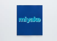 『miyake』小川 保司 ---MIYAKE by Yasushi Ogawa