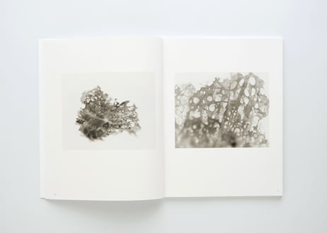 『虚の胞衣』中川 馬骨 ---AFTERBIRTH OF EMPTINESS by Makotu Nakagawa