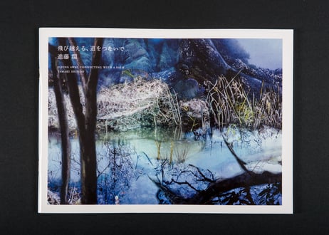 『飛び越える、道をつないで』進藤 環---FLYING AWAY, CONNECTING WITH A PATH  by Tamaki Shindo