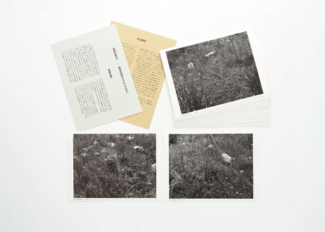 『森田衣起 写真集 Ⅰ』森田 衣起 ---COSMOS Ⅰ by Iki Morita